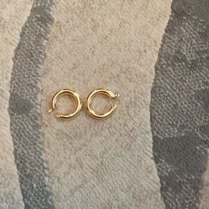 Thick Gold Hoops
